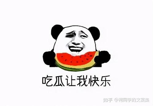 吃瓜文案图片搞笑,吃瓜群众欢乐多  第3张