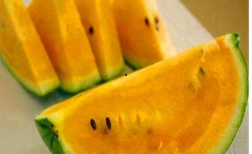 富瓜可以吃吗,揭秘其食用价值与食用方法
